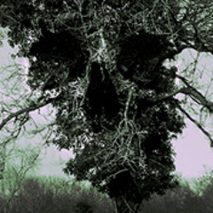 Jefferson Shulgin-"House by the edge of the park"