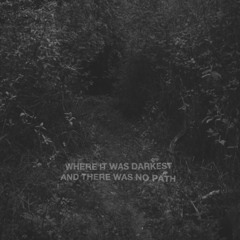 Where It Was Darkest And There Was No Path