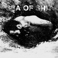 Sea of Shit - Full Disclosure
