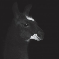 Rene Bourgeois feat. Elke Brauweiler - Je Danse