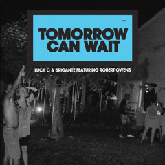 Luca C & Brigante feat. Robert Owens: Tomorrow Can Wait (Alternative Version)