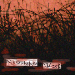 Norweigan wood