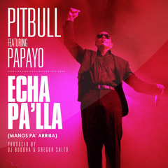 Echa Palla (DJ ADEY Remix) - Pitbull ft Papayo (FREE DOWNLOAD)