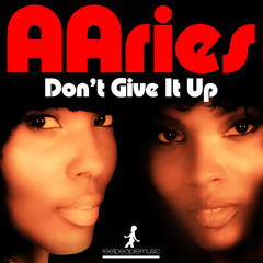 AAries - Don't Give It Up (Reel People Rework)