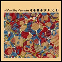 Wild Nothing - Paradise