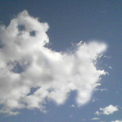 Alley Cat In A Fluffy Cloud (DANSIR Edit)