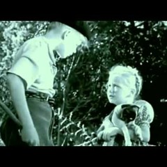 Romance de Amor - Spain folk song（愛のﾛﾏﾝｽ～禁じられた遊び～ ｽﾍﾟｲﾝ民謡）