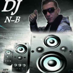 DJ N-B - (electro)