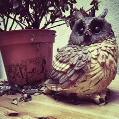 DDO - 12 (Original Mix)