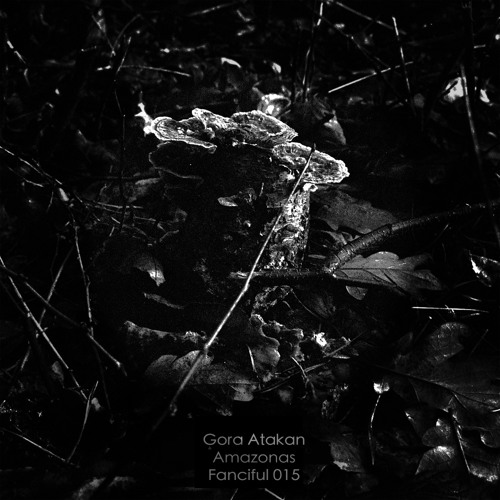 Gora Atakan - Amazonas (Frank Savio Remix) -Preview- mastering by Brian Sanhaji