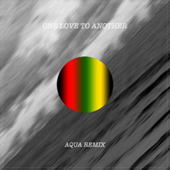 Edward Sharpe and The Magnetic Zeros - One Love To Another (Aqua Remix)