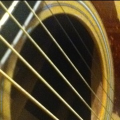 Fall Out Boy - Take Over the Breaks Over - Acoustic Cover