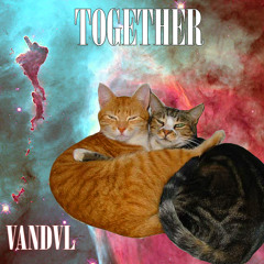 VANDVL - TOGETHER...[BMECTE]