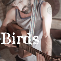 Birds - Professor Burns and the Lilac Field