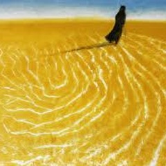 Desert Music