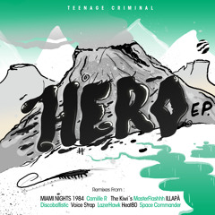 Teenage Criminal - Hero (Original Mix)