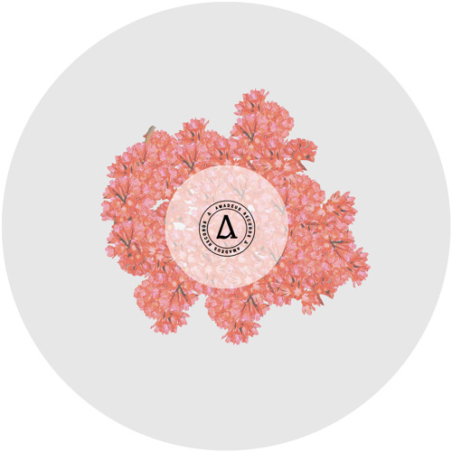 Take Me Closer (Urulu's 'Too Close' Mix) - AMA005