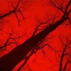 M.T.G F.G.E BEEN A G