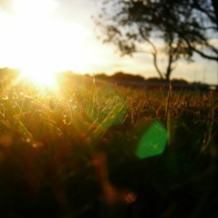 All For You Jesus - original