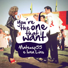 You're the one that I want - Grease soundtrack (Mateus Pinheiro & Ivna Lins)