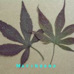 Always A Fool (2011 Rework by Kyau and Albert)