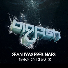Sean Tyas - Diamondback (Original Mix)