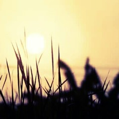 โง่ - Silly Fools