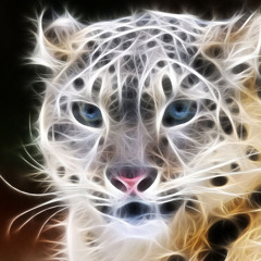 Nagano Kitchen - Black Panther (Original Mix)