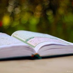 سورة الزلزلة -- ماهر المعيقلي