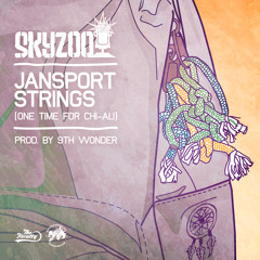 Skyzoo "Jansport Strings" (produced by 9th Wonder)