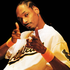 Snoop - Drop It Like It's Hot Boris Dlugosch remix
