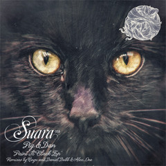 [Suara] Pig & Dan - Paint It Black (Coyu Remix) Snippet