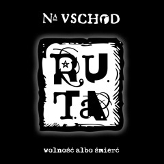 Kto u pana nie służył, biedy jeszcze nie użył/ He who has not been a servant