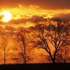 Gated Heart - Heaven Can Wait