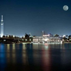 الجيلي الشيخ مصـر المأمنة