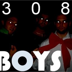 308 Boys - Song of the Summer (Party Friendly)