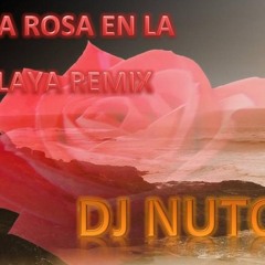 DJ NUTOR FT SALSERIN - UNA ROSA EN LA PLAYA REMIX