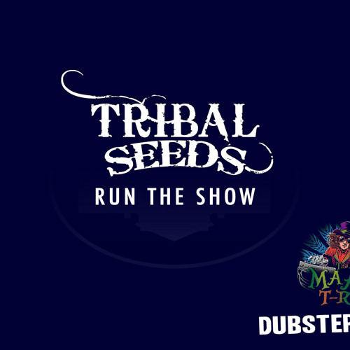 Run The Show (Maad T-Ray Remix)