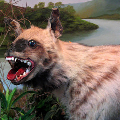 I Don't Even Know What This Is Necessary... at Flinders Library