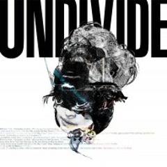 UNDIVIDE - THE CATALYST