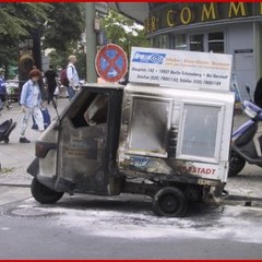 Bark-Crass cover- owe us a living