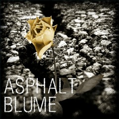 11.JimCarrol - Stressventil mit JimmySun (Bonus)(Asphaltblume)