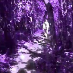 07 Fear & Ego - JacksonsWarehouse