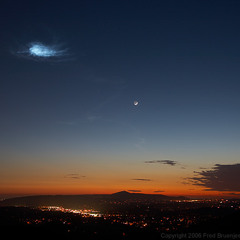 Neil W Leslie Ibiza 2005 CUT1