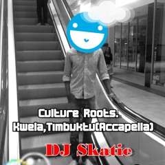 DJ Skatie-Culture Roots.Kwela,Timbuktu(Accapella).HkP