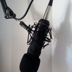 03-Why found Voci d'estate