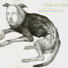 Thee Oh Sees, "Flood's New Light"