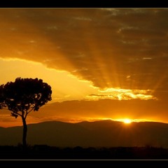 Brand New Day feat. Anthony Sica