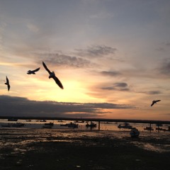 s:an - Birds in my head (Dub Mix)