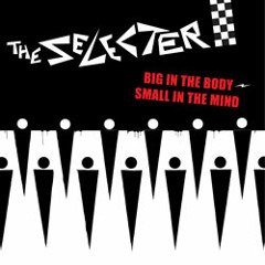 'Back To Black'- The Selecter.